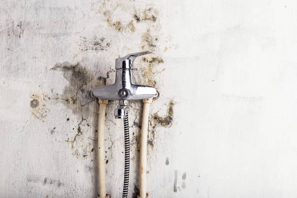 Water Damage Restoration in Panama City Beach, FL